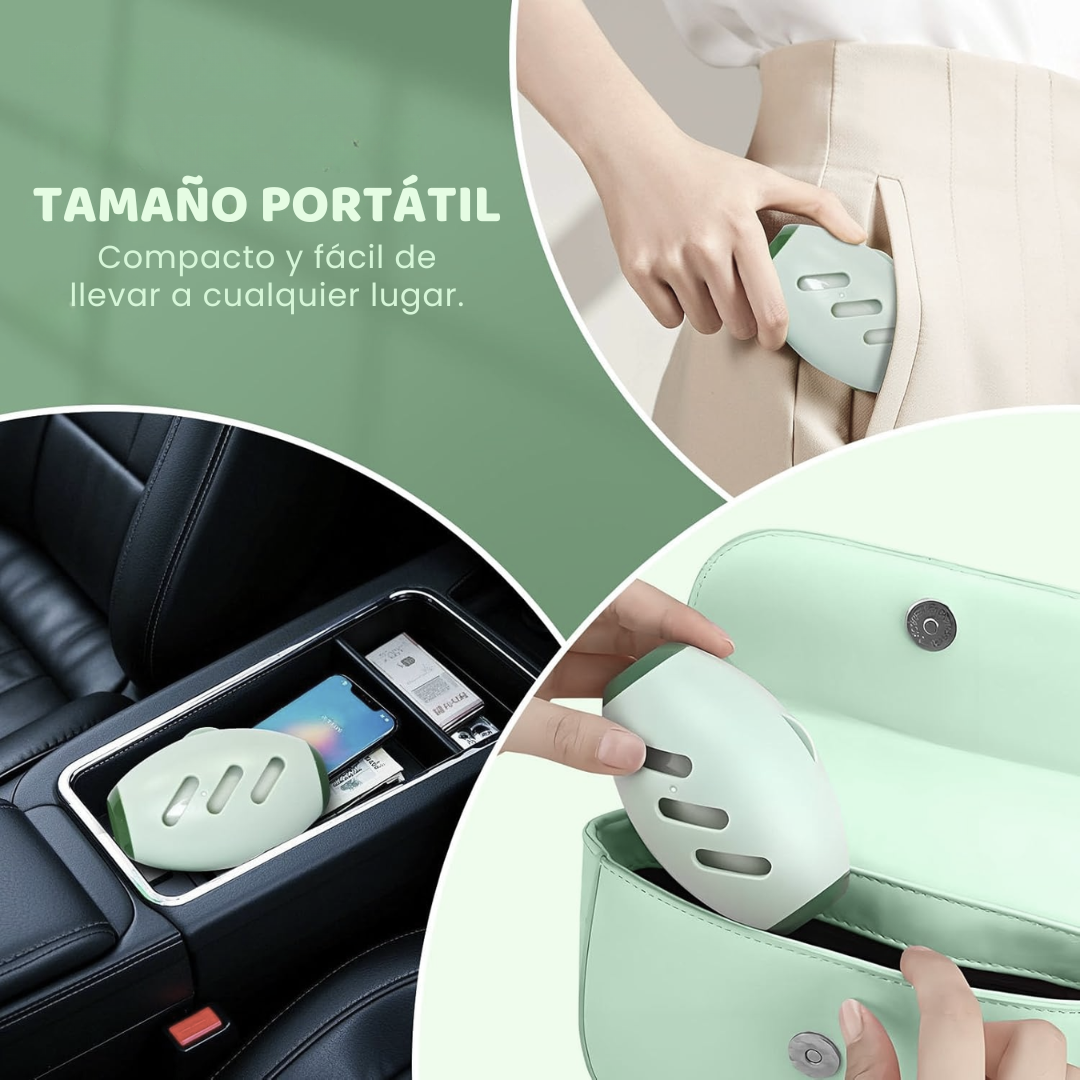 Rodillo Reutilizable SwipeFur