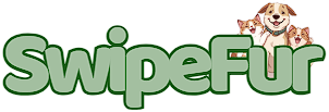 SwipeFur